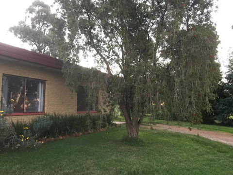 Tree Of Love Farm Stay - Yamba Accommodation 1
