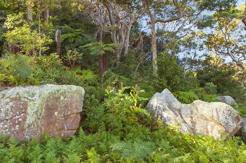 Treehouse Palm Beach - Yamba Accommodation 2