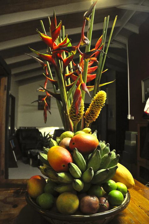 Tropical Bliss Bed And Breakfast - Yamba Accommodation 3