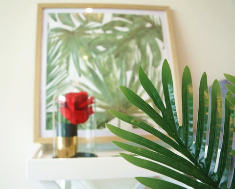 Tropical Delight 1 Bedroom Apt - Yamba Accommodation 0