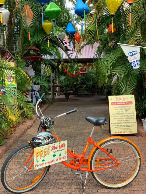Tropic Days Boutique Hostel - Yamba Accommodation 3