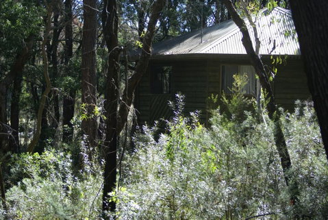 Twin Falls Bush Cottages - Yamba Accommodation 0