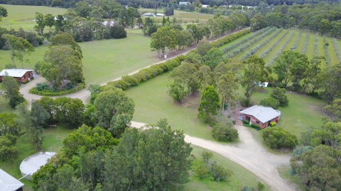 Twin Trees Country Cottages - Yamba Accommodation 0
