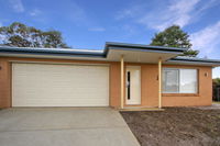 V  V Family Dream Away