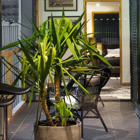 Val D'Argent Equestrian Centre - Yamba Accommodation 2