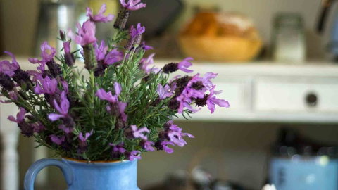 Vicarage View Cottage - Yamba Accommodation 2