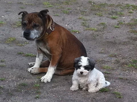 Walcha Royal Cafe & Accommodation - Yamba Accommodation 3