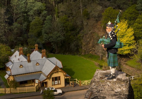 Walhalla Wild Cherry - Yamba Accommodation 2