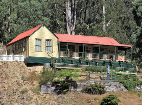 Walhalla Wild Cherry - Yamba Accommodation 0