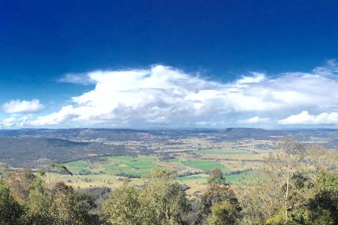 Wanjii II Pool & Spa Getaway - Yamba Accommodation 2