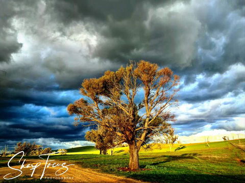 Wantana Cottage Farmstay - Yamba Accommodation 2