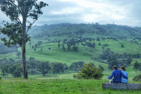 Waterfall Way Farmstay - Yamba Accommodation 2