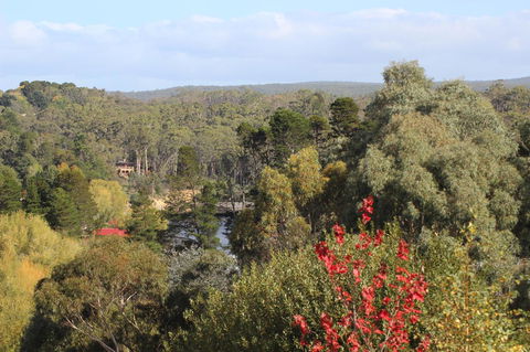 The Orchard - Yamba Accommodation 28