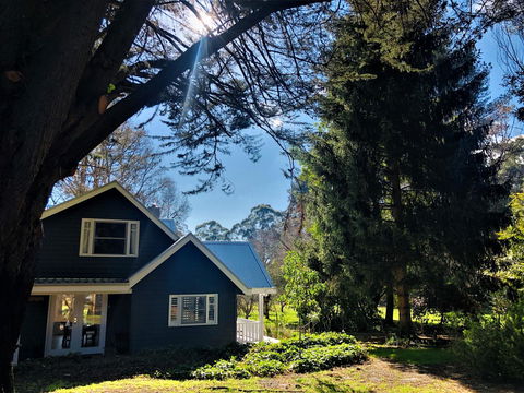 The Orchard - Yamba Accommodation 1