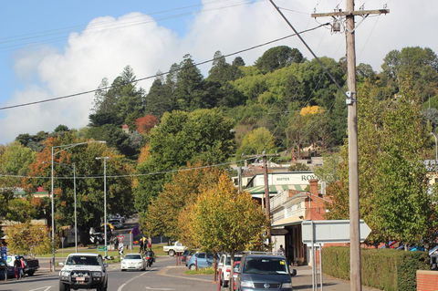The Orchard - Yamba Accommodation 35