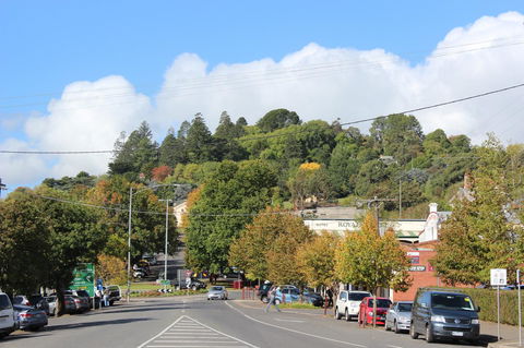 The Orchard - Yamba Accommodation 29