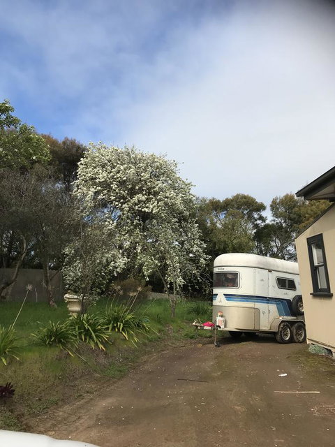 Hillâ€™s Creek Holiday Home - Yamba Accommodation 6