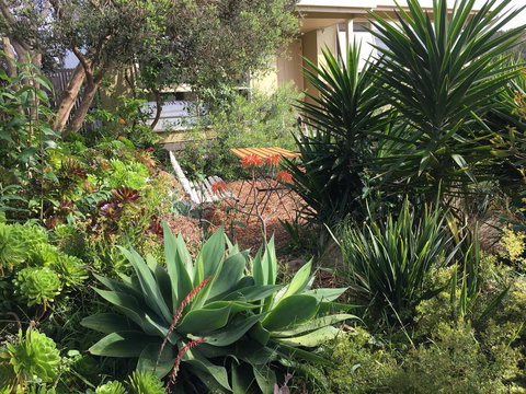 Andrew's On Topaz - Yamba Accommodation 2