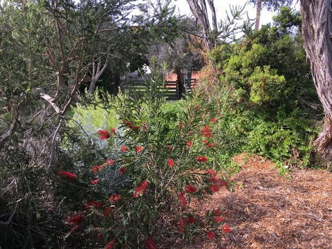 Andrew's On Topaz - Yamba Accommodation 1