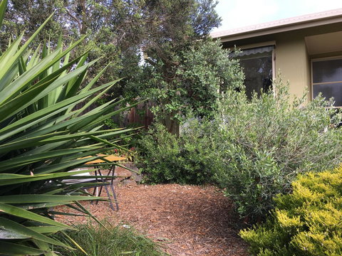 Andrew's On Topaz - Yamba Accommodation 5