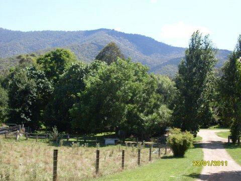 Aspens Springs Farmstay - Yamba Accommodation 30