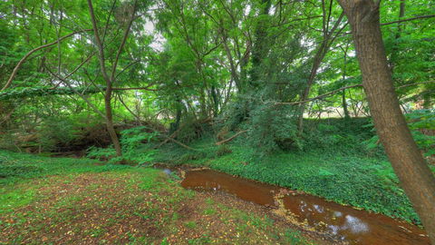 Aspens Springs Farmstay - Yamba Accommodation 21