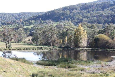 Aspens Springs Farmstay - Yamba Accommodation 29