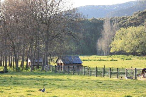 Aspens Springs Farmstay - Yamba Accommodation 25