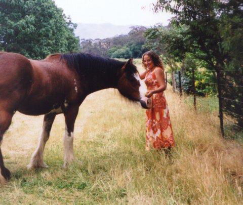 Aspens Springs Farmstay - Yamba Accommodation 31