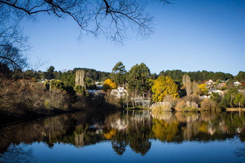 Chestnut Daylesford - Yamba Accommodation 14