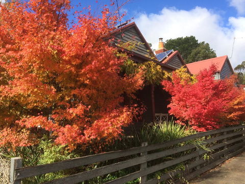 Chestnut Daylesford - Yamba Accommodation 13