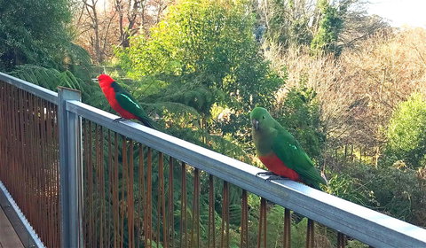 Beautiful View House - Yamba Accommodation 11