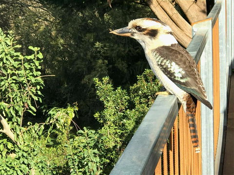 Beautiful View House - Yamba Accommodation 12