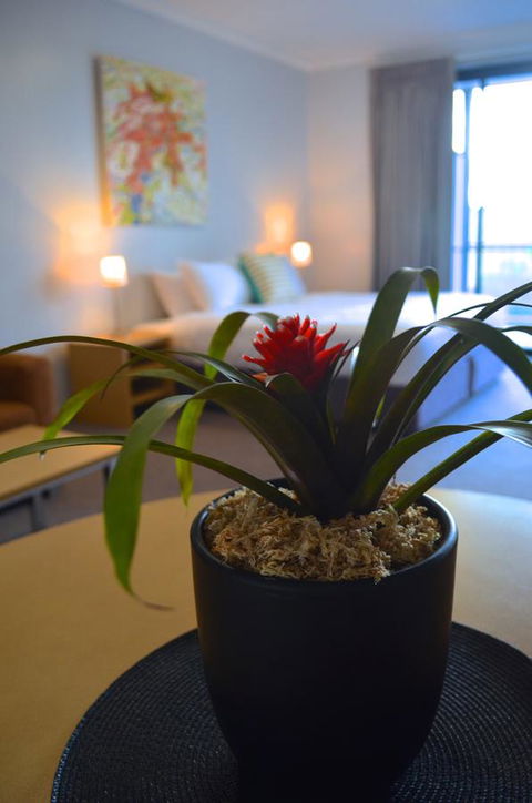 Mansfield Apartments - Yamba Accommodation 21