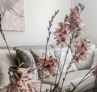 Bed of Roses - Yamba Accommodation