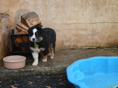 Bundjil Studio - Yamba Accommodation 15