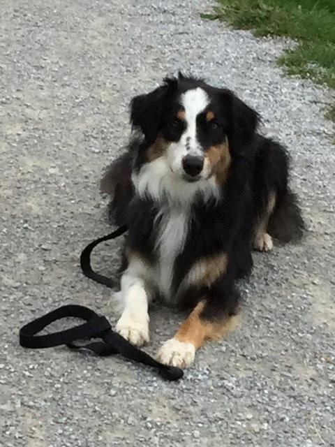 Bundjil Studio - Yamba Accommodation 14