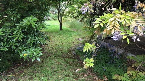 Lorelei Bed & Breakfast - Yamba Accommodation 10