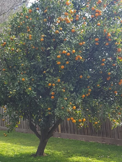 Juliet House - Yamba Accommodation 21