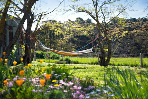 Cabrito - Yamba Accommodation 3