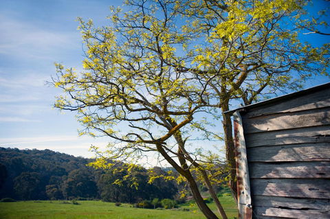 Cabrito - Yamba Accommodation 9