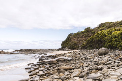 Points South By The Sea - Yamba Accommodation 9