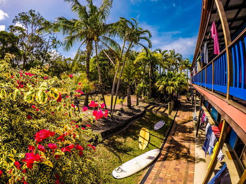 Cool Bananas Backpackers - Yamba Accommodation 17