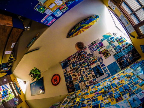 Cool Bananas Backpackers - Yamba Accommodation 29