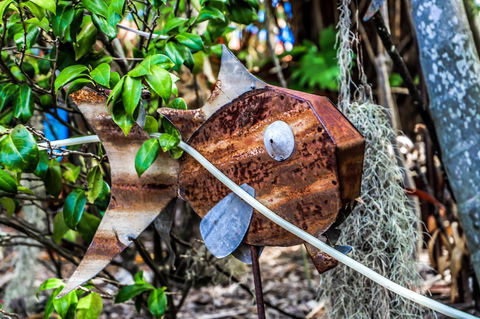 Cool Bananas Backpackers - Yamba Accommodation 24