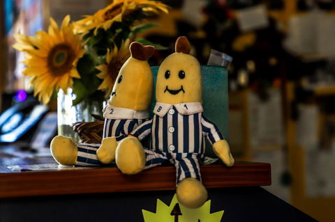 Cool Bananas Backpackers - Yamba Accommodation 30