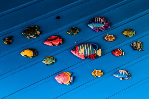 Cool Bananas Backpackers - Yamba Accommodation 20