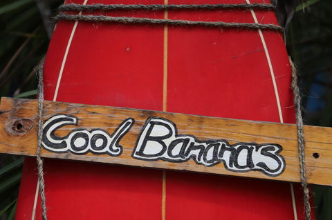 Cool Bananas Backpackers - Yamba Accommodation 41