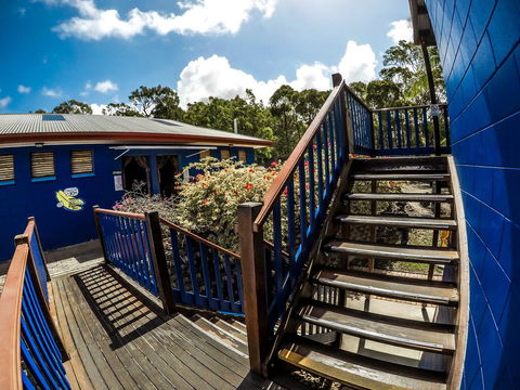 Cool Bananas Backpackers - Yamba Accommodation 27