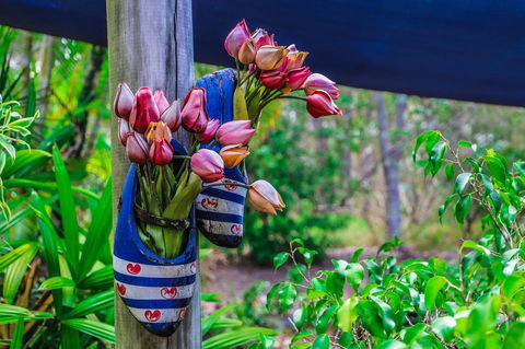 Cool Bananas Backpackers - Yamba Accommodation 26